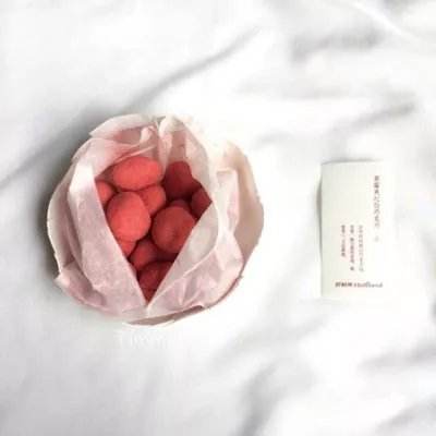 口袋精灵移动版破解版下载